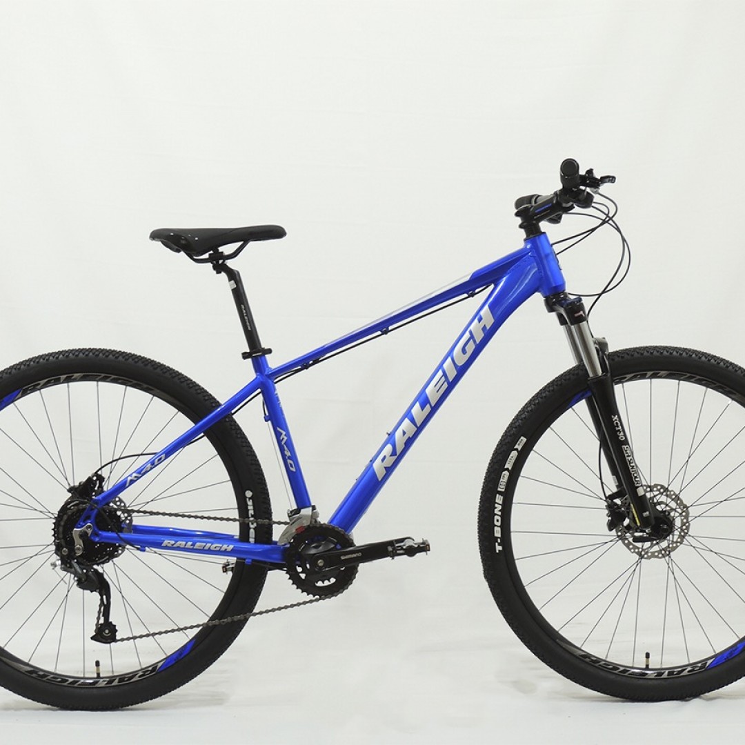 raleigh-40-r29-17-azul