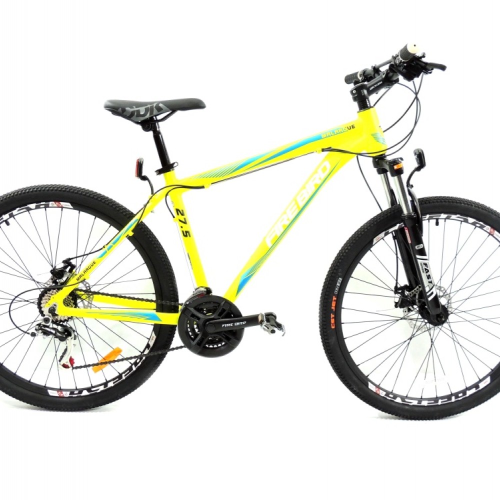 bicicleta-mtb-r275-fire-bird-21v-disco