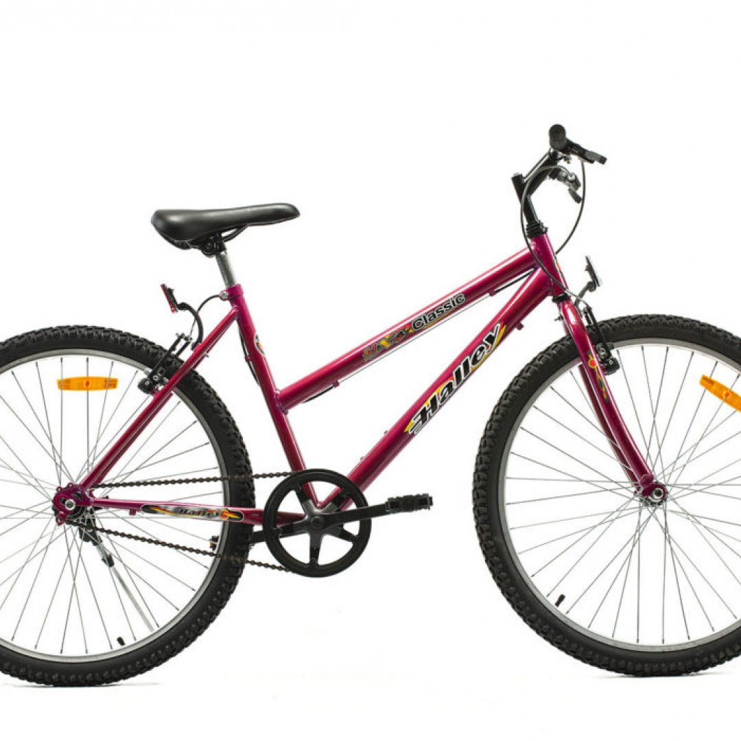 bicicleta-mtb-r26-dama-1v