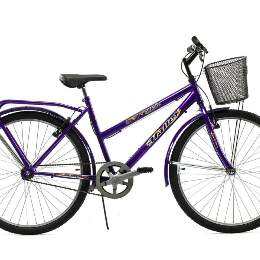 bicicleta-mtb-r26-dama-de-lujo-1v