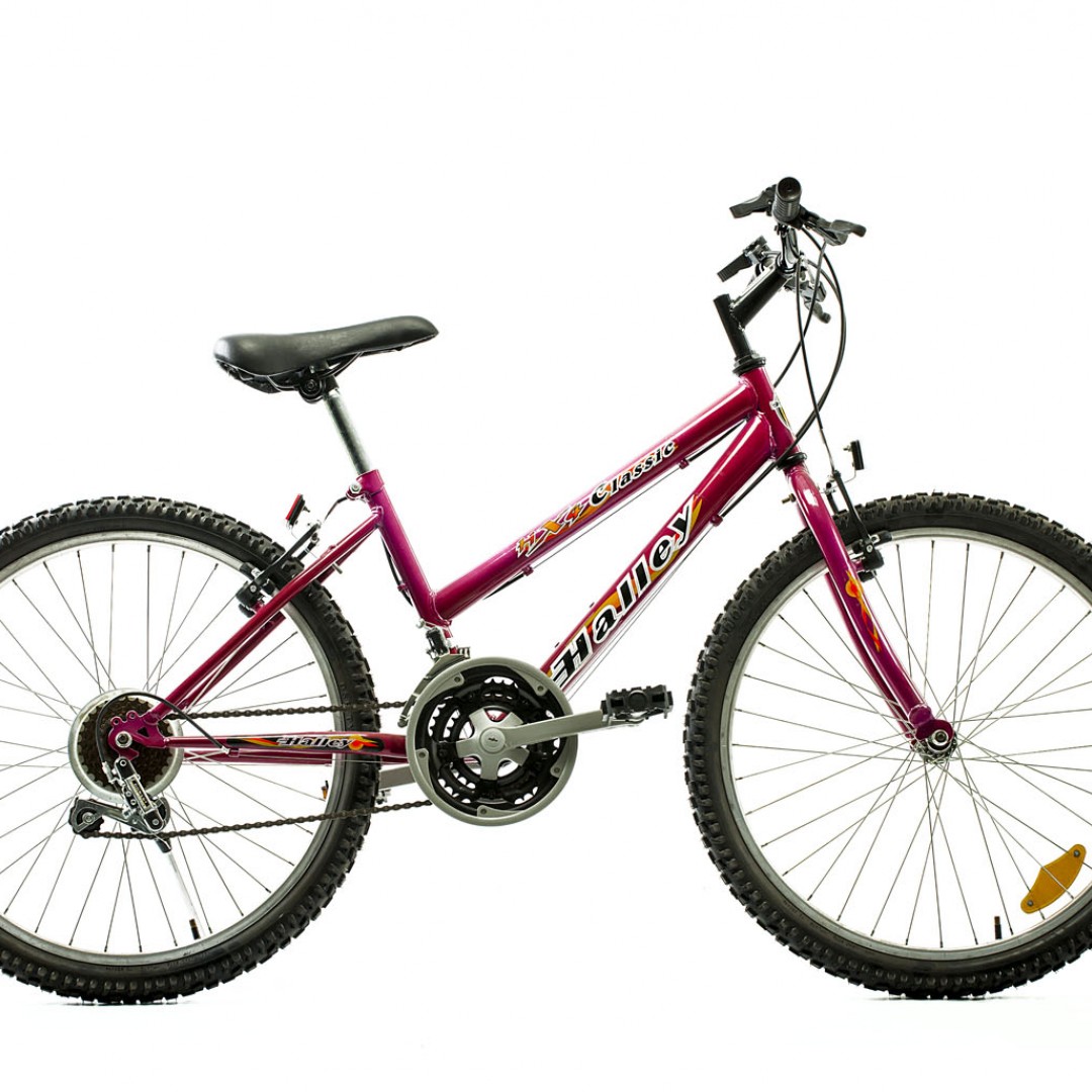 bicicleta-mtb-r24-dama-18v